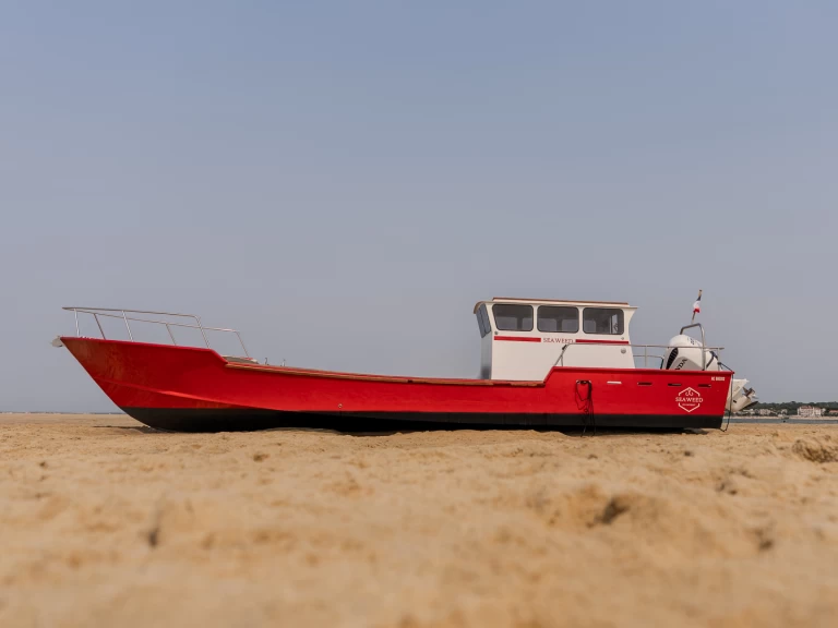 Wynajem Motorówka w Bélisaire - Seaweed CHALAND 12m
