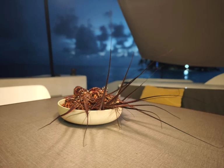 Wynajem Katamaran Oyacht z patentem 