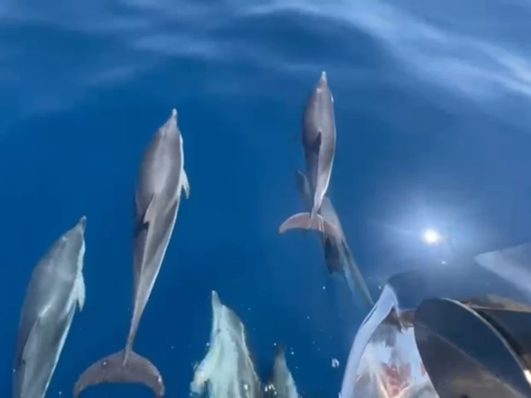 Wynajem Luksusowy jacht w Saint-Tropez - Jeanneau Merry Fisher 1095