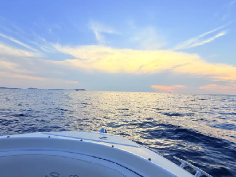 Wynajmij Motorówka z lub bez skippera Sea Ray w Sant Antoni de Portmany