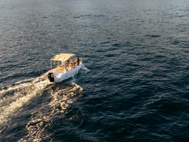 blumax 19 pro Blumax 19 Pro między profesjonalistami a osobami prywatnymi w Taormina