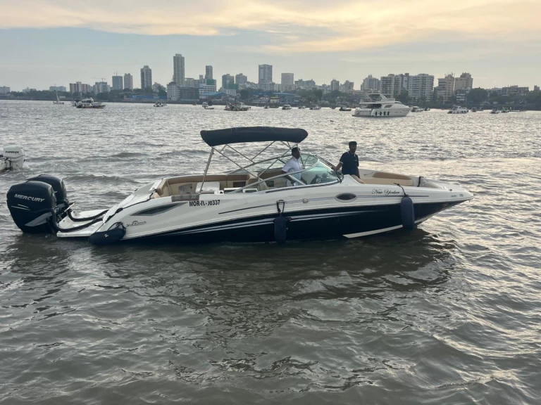 Sea Ray Sea Ray SDX 290 między profesjonalistami a osobami prywatnymi w Mumbai