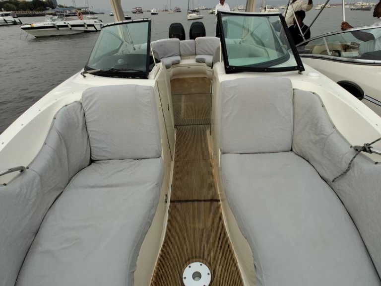 Sea Ray Sea Ray SLX 300 między profesjonalistami a osobami prywatnymi w Mumbai