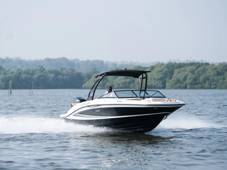 Sea Ray Sea Ray SPX 210 między profesjonalistami a osobami prywatnymi w Panaji
