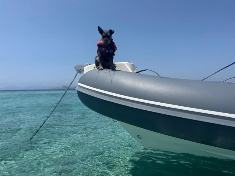 Bwa 24 Sporty RIB między profesjonalistami a osobami prywatnymi w Ibiza Town