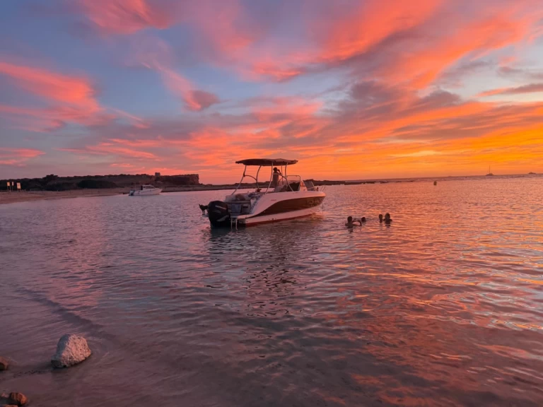 Wynajem łodzi Ibiza Town tanio Activ 805 Sundeck