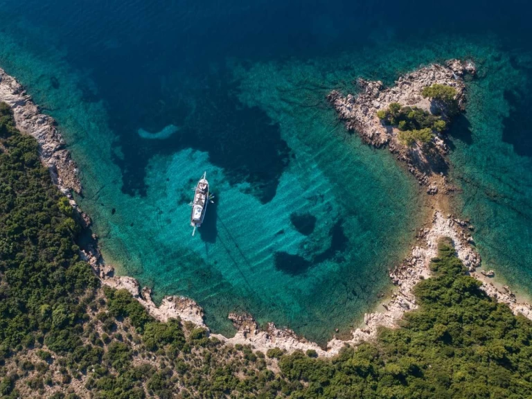 Custom Phoenix Bronze między profesjonalistami a osobami prywatnymi w Split