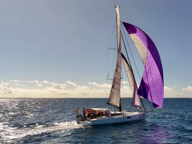 Wynajem Żaglowiec Pogo Structures z patentem 