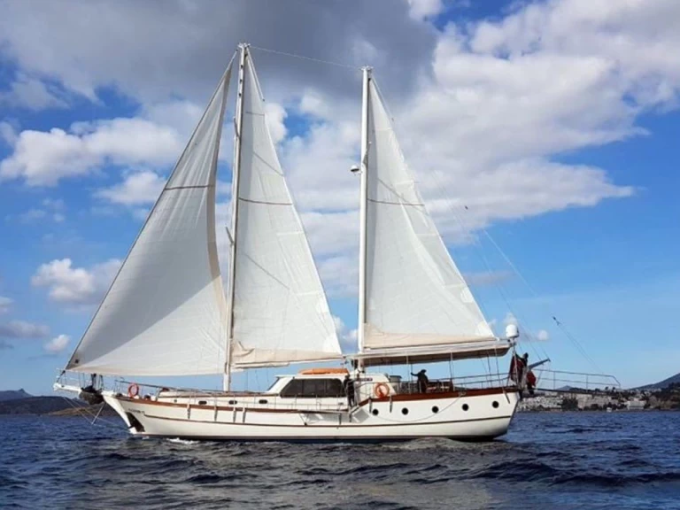 Wynajmij Custom Made Elifim 11 w Bodrum