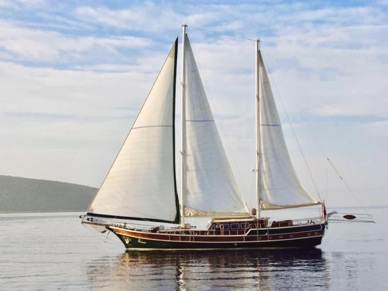 Wynajmij Custom Made Serenad w Bodrum