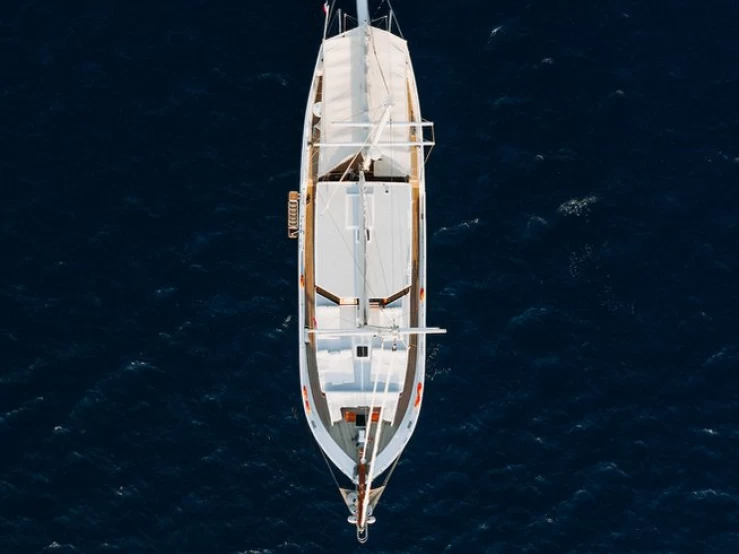 Custom Made Beyaz Lale między profesjonalistami a osobami prywatnymi w Kos