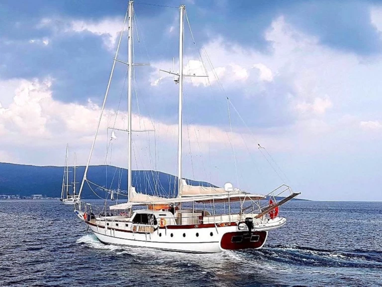 Wynajem łodzi Custom Made Elifim 11 w Bodrum na SamBoat 