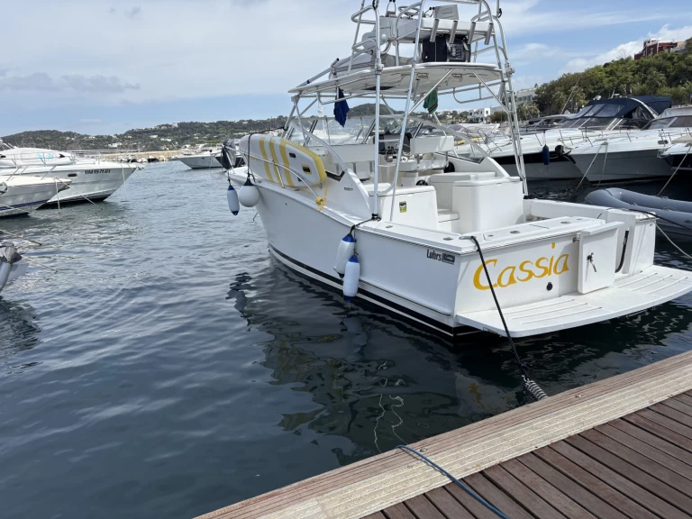 Wynajem Motorówka Luhrs z patentem 