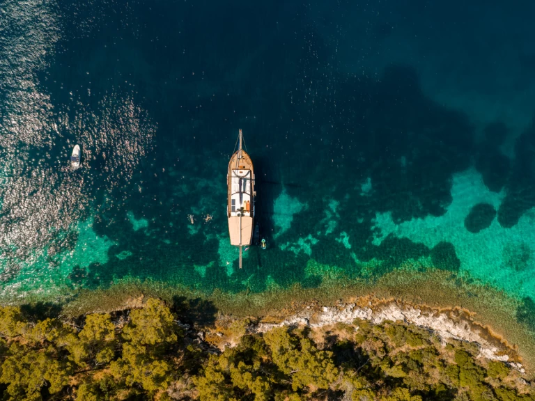 Wynajem Żaglowiec  z patentem 