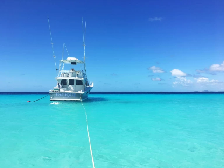 Wynajem w Willemstad- costume 45 na SamBoat