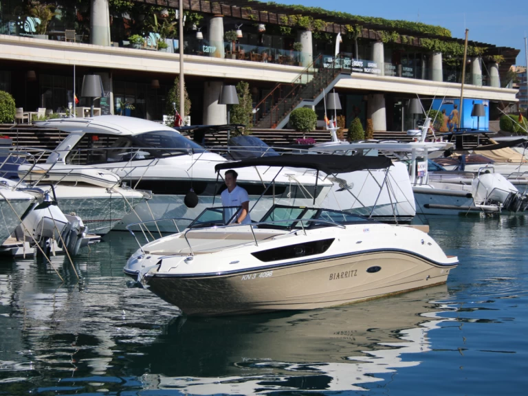 Wynajem łodzi Sea Ray 230 SSE w El Toro na SamBoat 