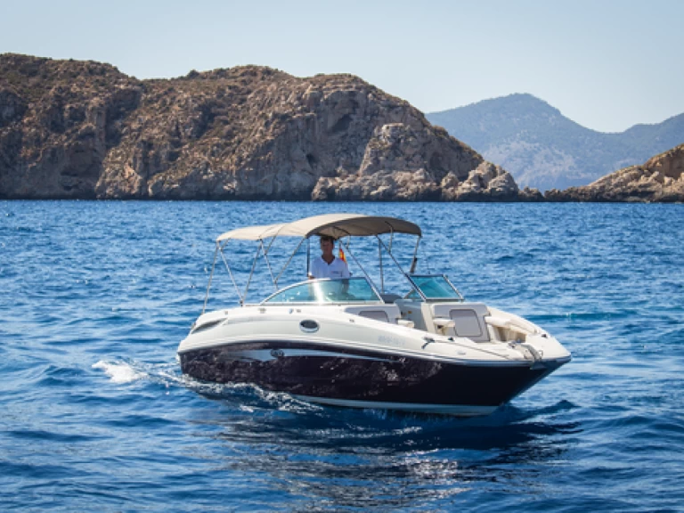 Wynajmij Motorówka z lub bez skippera Sea Ray w El Toro