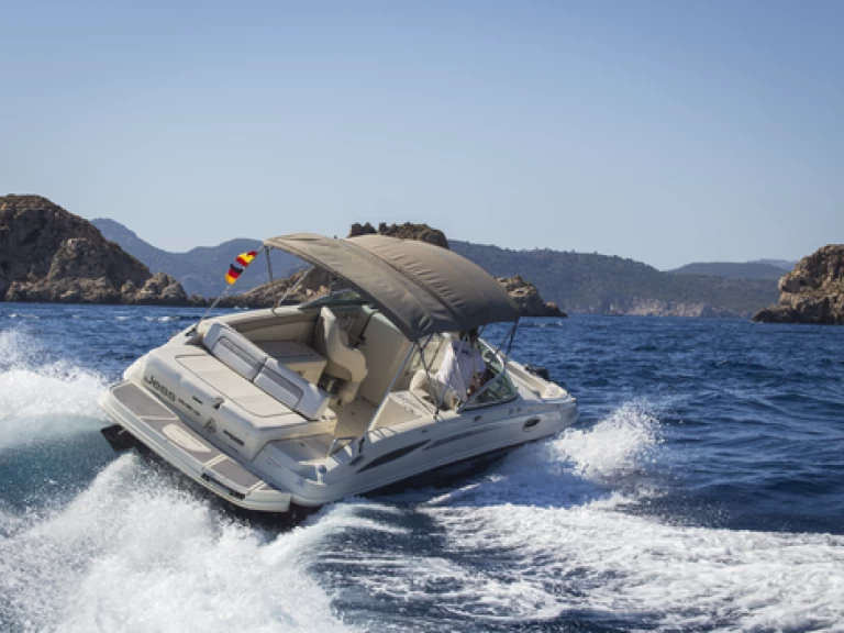 Wynajem Motorówka Sea Ray z patentem 