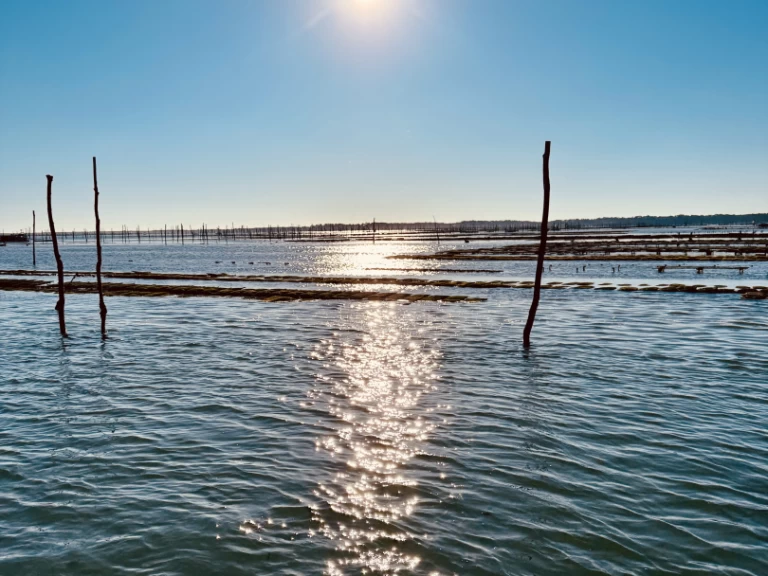 Wynajem w Francja- Beacher Beacher 840 na SamBoat