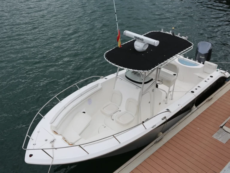 Wynajem Motorówka SEAFOX z patentem 