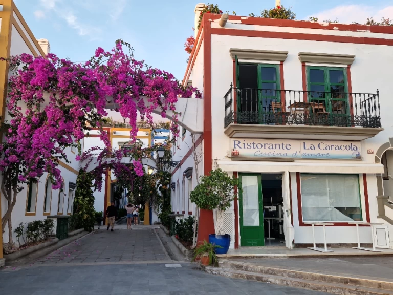 Wynajmij Jeanneau Sun Odyssey 44i w Puerto de Mogán