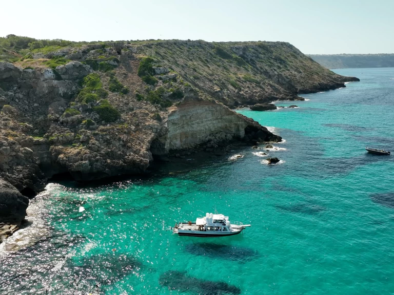 Wynajem w s'Arenal- palma 1 na SamBoat