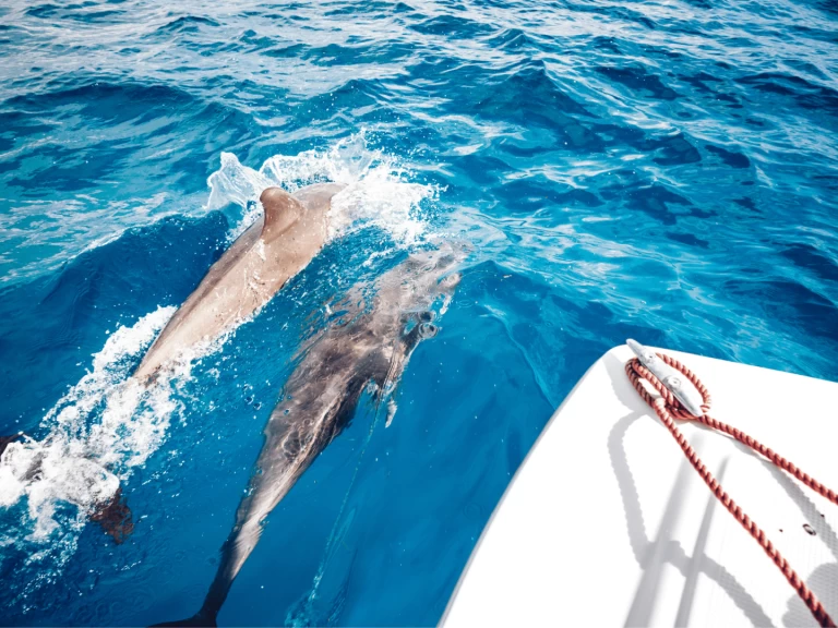 Wynajem łodzi Custom Made Custom made w Kendwa na SamBoat 