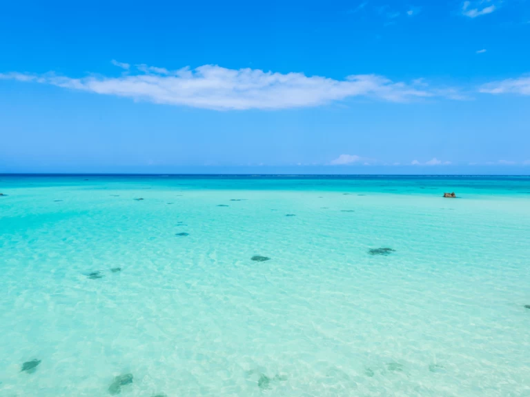 Wynajmij Katamaran z lub bez skippera Custom Made w Kendwa