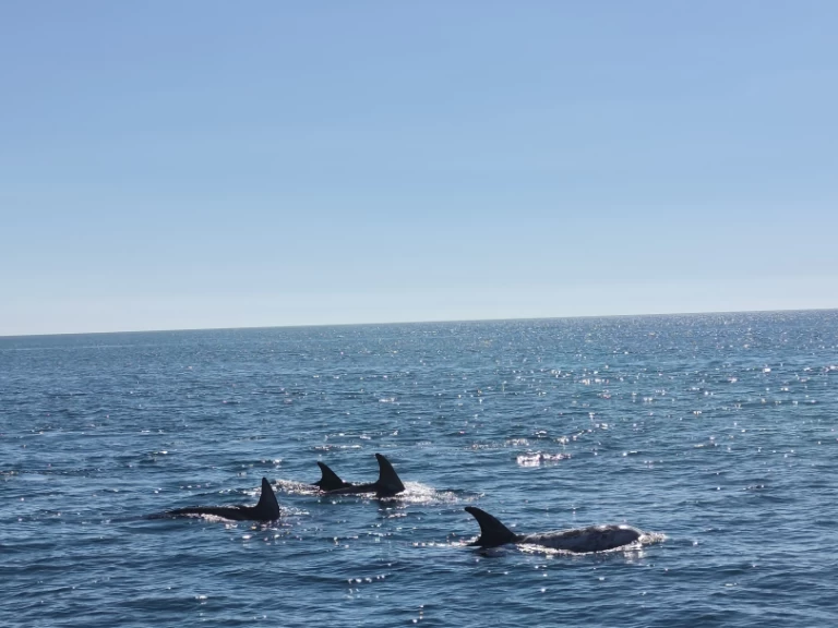 Wynajmij Fountaine Pajot FP 44 w Portimão