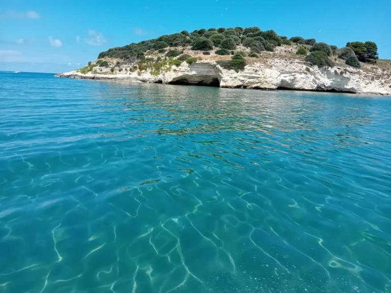 Wynajem Motorówka Idea Marine z patentem 