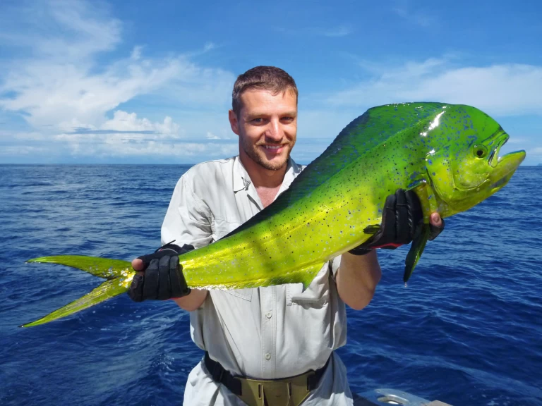 Wynajem Luksusowy jacht w Punta Cana - Custom Made Custom made