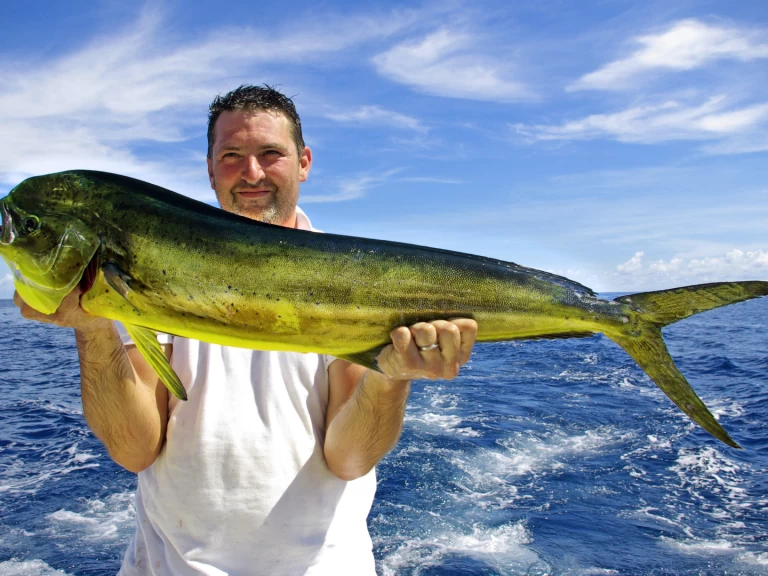 Wynajmij Luksusowy jacht z lub bez skippera Custom Made w Punta Cana