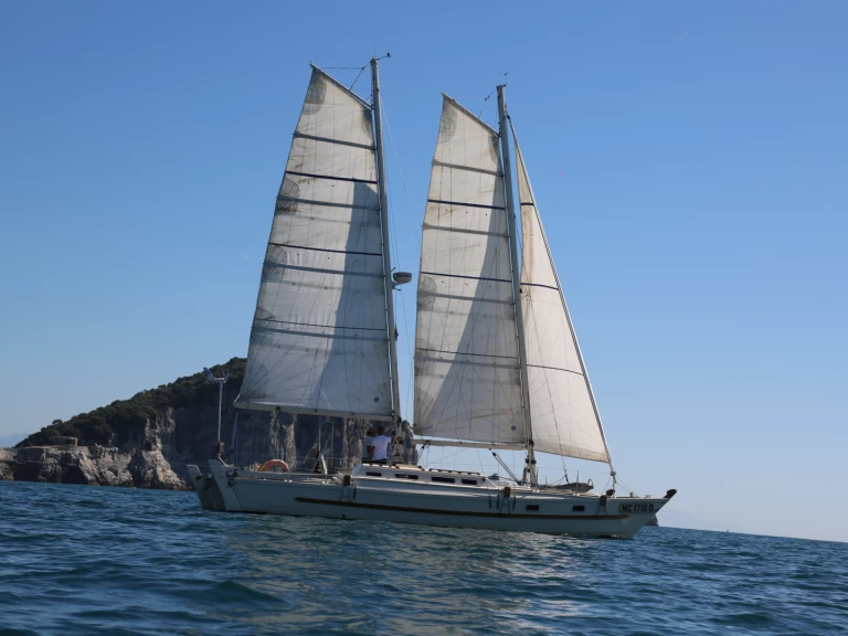 Wynajmij Katamaran z lub bez skippera Wharram w La Spezia