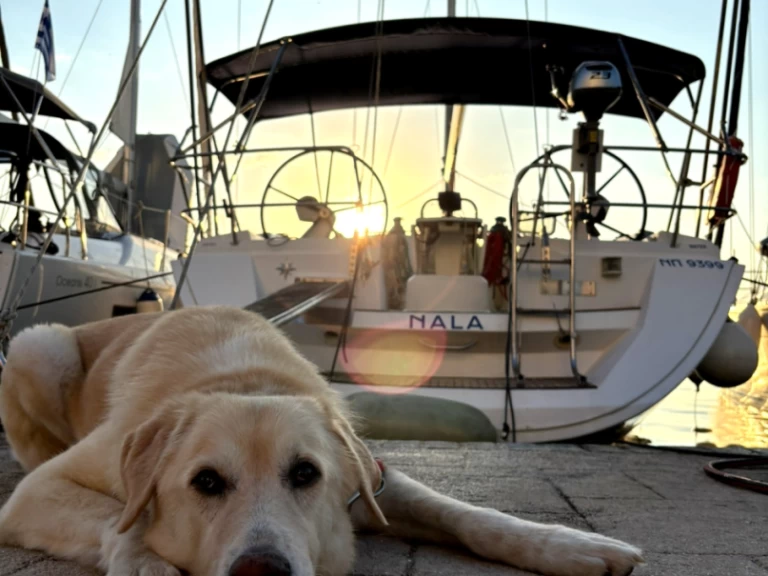 Wynajem Żaglowiec Jeanneau z patentem 