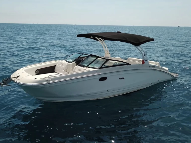 Sea Ray SDX 290 między profesjonalistami a osobami prywatnymi w Antibes