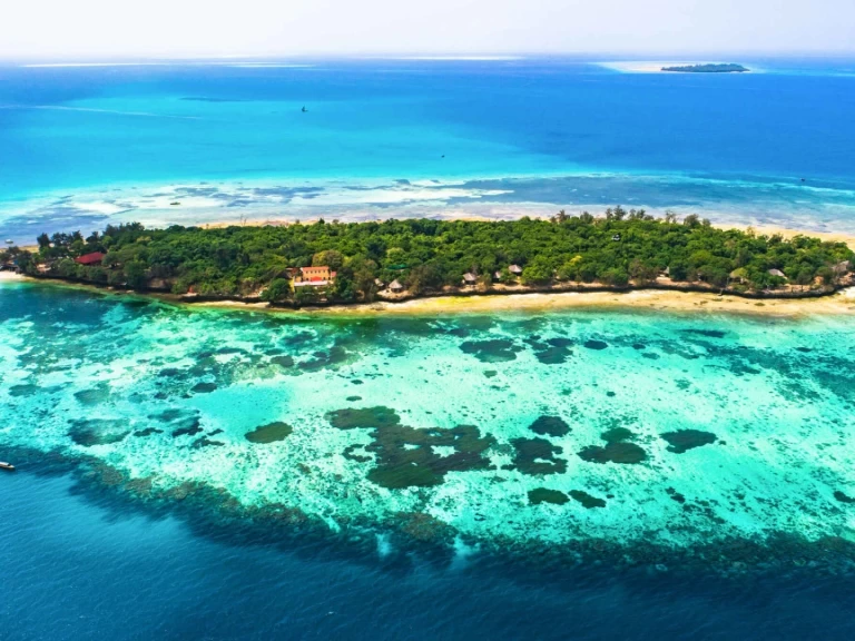 Wynajem w Zanzibar- Custom 2018 na SamBoat