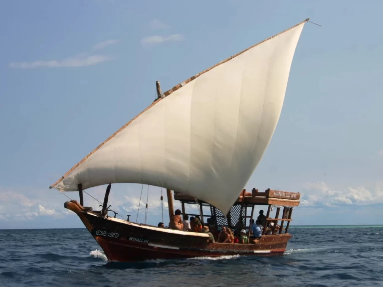 Wynajem w Zanzibar- Custom Custom na SamBoat