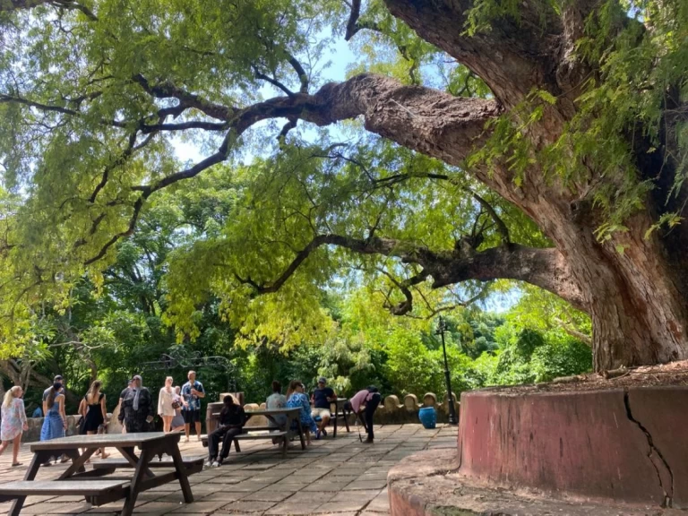 Wynajem łodzi Custom Custom w Zanzibar na SamBoat 