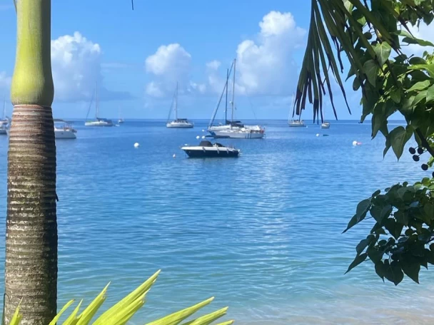 Wynajem Motorówka w Deshaies - Pacific Craft Pacific Craft 630