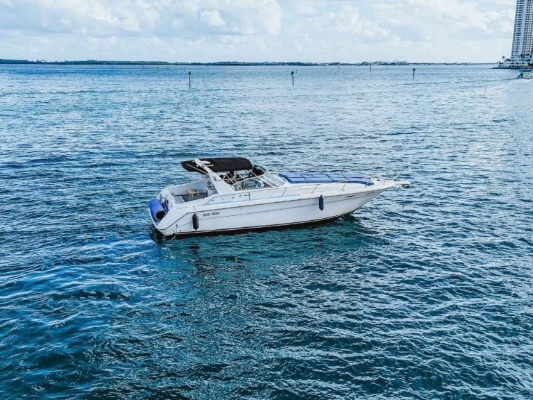 Wynajem Motorówka Sea Ray z patentem 