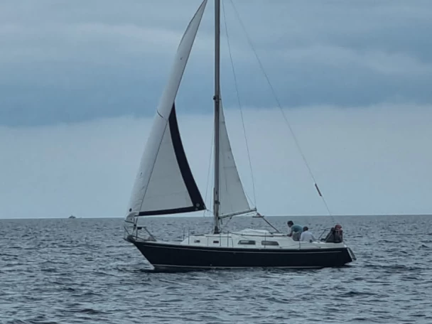 Wynajem Żaglowiec w Port de Sainte-Marine - Contest contest 29