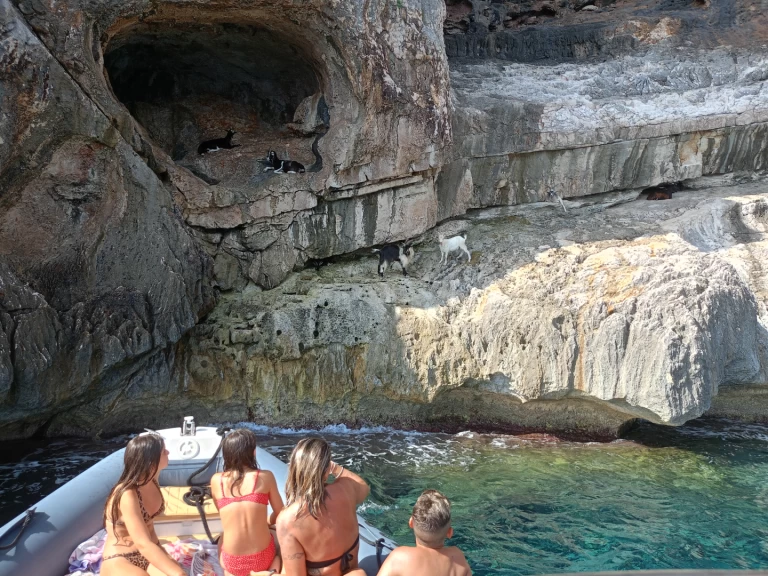 Wynajem w Cala Gonone- Nuova Jolly King 750 na SamBoat