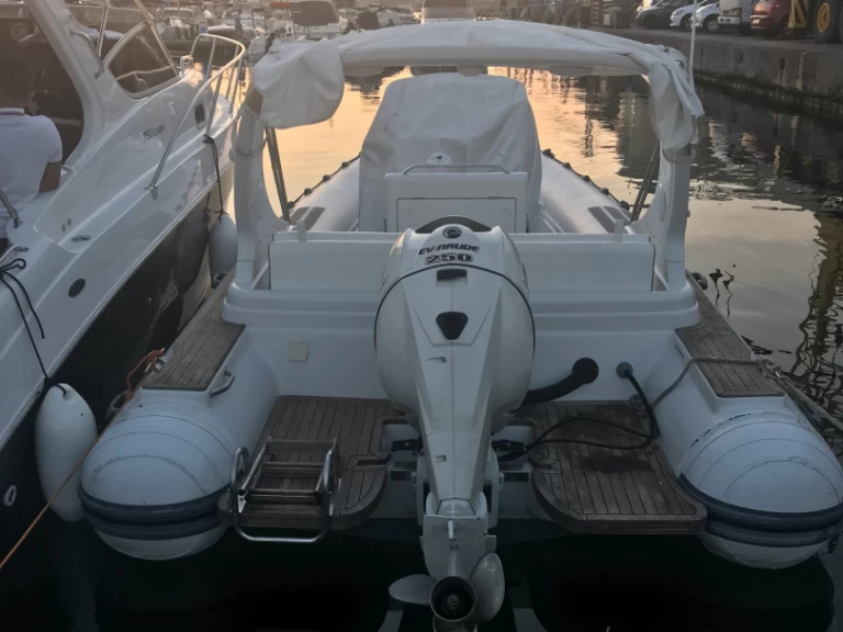 Wynajem Łódż półsztywna Pholas z patentem 