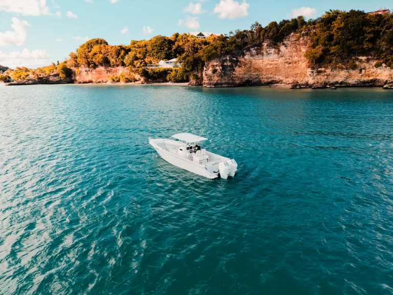 Wynajem Motorówka w Le Gosier - Forboat Forboat 34 Open