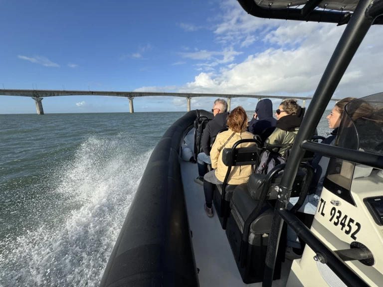 Wynajem Łódż półsztywna Narwhal z patentem 