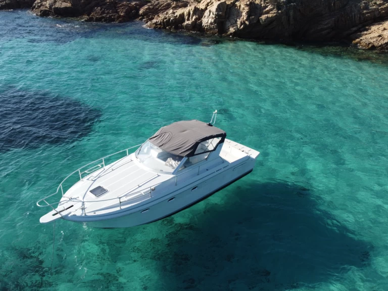 Wynajem Motorówka w Palau - Monchi craft Sedan 