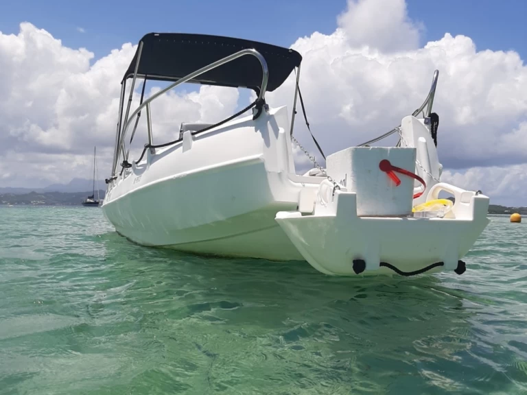 Whaly Whaly 500 między profesjonalistami a osobami prywatnymi w Le François