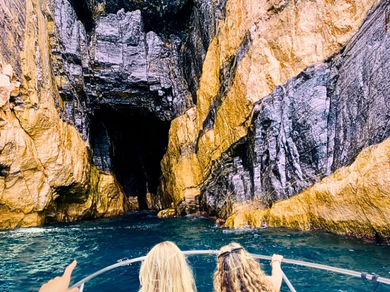 Wynajem w La Spezia- Boston Whaler Boston Whaler 220 Dauntless na SamBoat