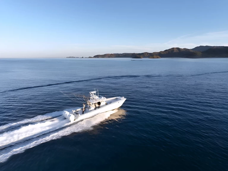 Wynajem łodzi Flamingo tanio Freeman 47FT