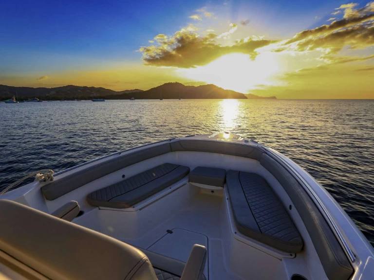 Wynajem Motorówka Pursuit z patentem 